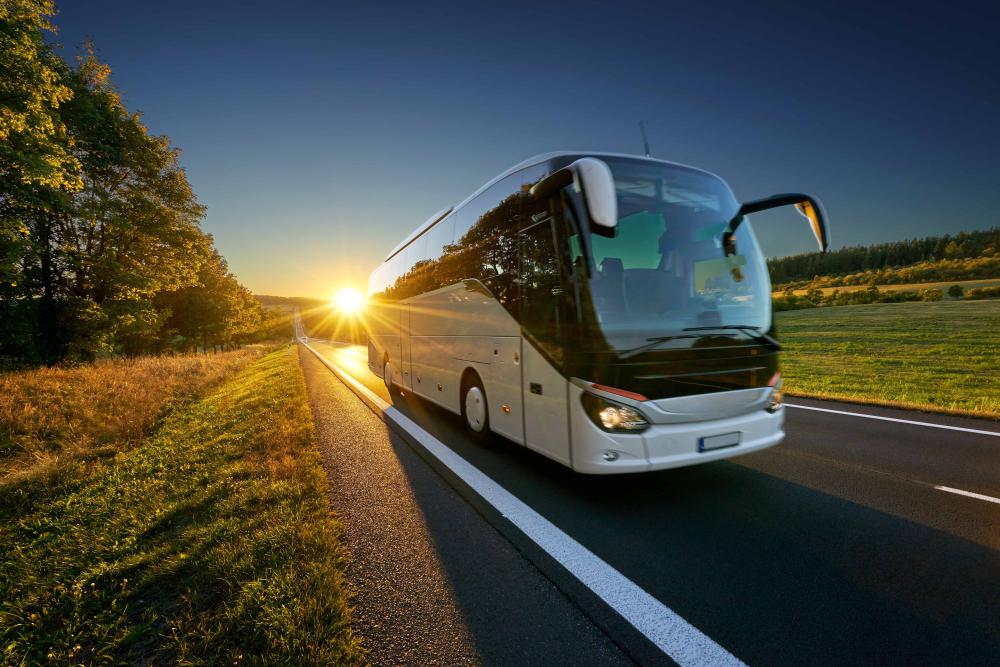 Minibus à Sireuil